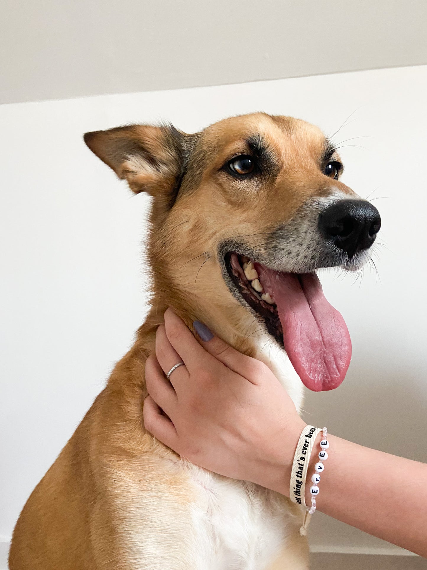 Pet Friendship Bracelet Stack